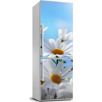 Fototapeta Samolepka / Tapeta na ledničku - Sedmikrásky 70x190 cm