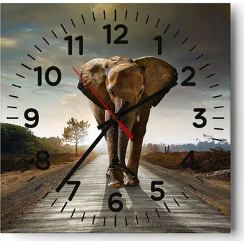 Hodiny Nástěnné hodiny do obýváku 40x40 Slon Bezhlučné Hodiny na skle Stylové Tiché