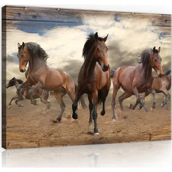 Obraz Obraz do obýváku KONĚ ZVÍŘATA MODERNÍ 100x70