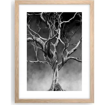 Obraz Obraz plakát v rámu světlý dub do obýváku 30x40 strom plakáty na zeď