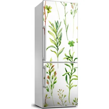 Fototapeta Samolepící dýha na ledničku s Plevel a bylinkami