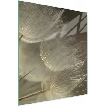 Kuchyňské prkénko Krájecí deska TMK ArtDeko sklo 1 ks