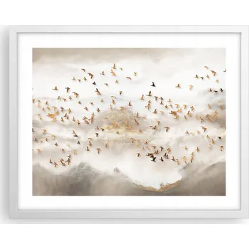 Obraz Obraz plakát na zeď v bílém rámu 50x40 ptáci foto plakáty do obýváku