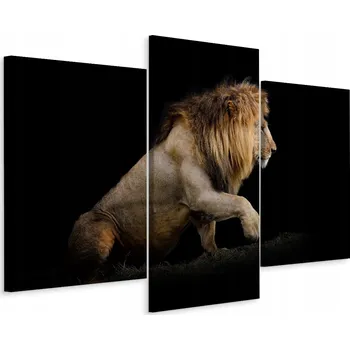 Obraz Obraz Tryptych LEV na Černém Pozadí Příroda 3D 90x60