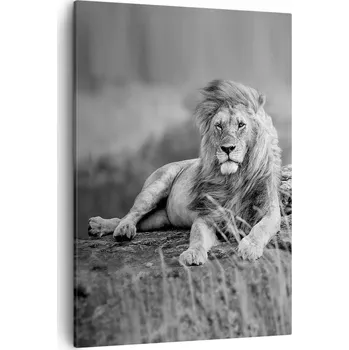 Obraz Obraz na plátně do obýváku ložnice 50x70 lev foto obrazy na zeď canvas