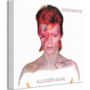 Obraz David Bowie Aladdin Sane - Obraz na plátně 40x40 cm