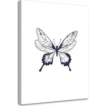 Obraz Obraz Kreslený motýl 60x90