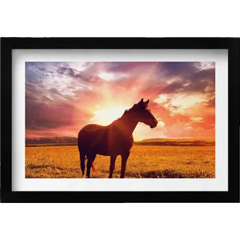 Obraz Dekorativní obraz v rámu do obýváku Kůň na poli při západu slunce 30x20 cm