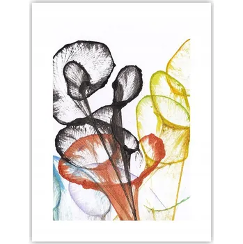 Obraz Obraz plakát do obýváku ložnice 30x40 květy plakáty na zeď bez rámu