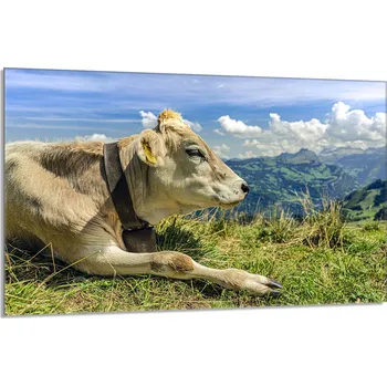 Kuchyňské prkénko Krájecí deska TMK ArtDeko sklo 1 ks