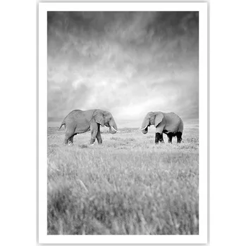 Obraz Plakát na zeď bez rámu 70x100 slon foto-obraz plakáty do obývacího pokoje ložnice