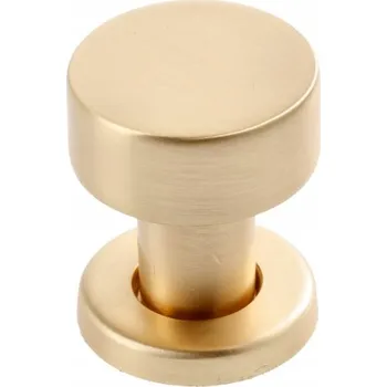 Nábytkové kování Nábytková úchytka klasická RING, kartáčované zlato GTV + montážní šroub