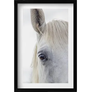 Obraz Obraz s černým rámem a grafikou na zeď Hlava bílého koně 40x60 cm