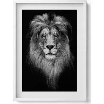 Obraz Závěsný obraz na zeď dekorace do bytu Hlava lva divoké kočky 50x70 cm