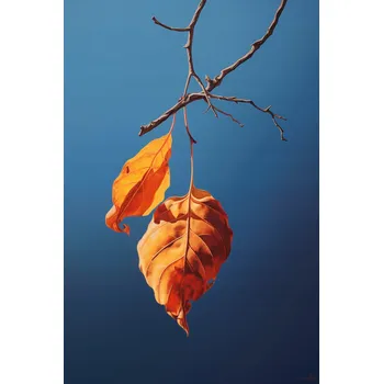 Plakát Plakát Poslední Dech Léta bez rámu 61 x 91,5 cm