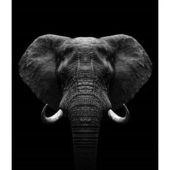 Kuchyňské prkénko Skleněná Ochranná Deska a Krájecí Prkénko | Indukce, Sporák ds-0572