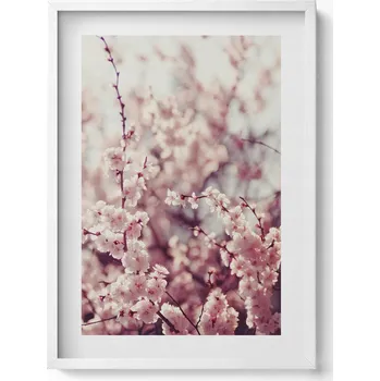 Obraz Obraz s rámem a grafikou na zeď Krásné jarní květy na stromě 50x70 cm