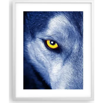 Obraz Obraz plakát na zeď v bílém rámu 40x50 zvířata plakáty do obýváku