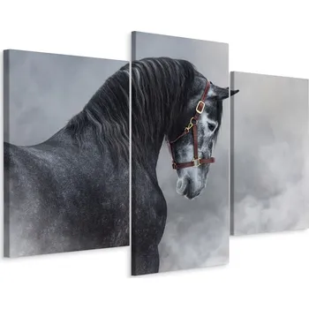 Obraz Obraz Triptych Černobílý KŮŇ v Mlze 3D 150x100