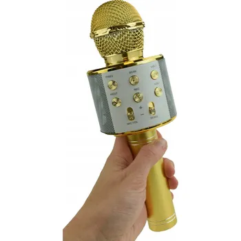 Mikrofon Mikrofon RONEBERG RONMIC 2022 Zpěvový mikrofon DÁREK k Den dětí