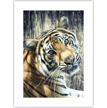 Obraz Obraz plakát do obýváku ložnice 30x40 zvířata plakáty na zeď bez rámu