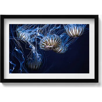Obraz Dekorace obraz s grafikou v krásném rámu Modré medúzy ve vodě 60x40 cm