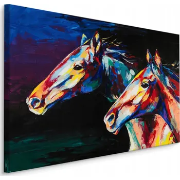 Obraz Obraz canvas koně abstrakce malířství 3D 30x20