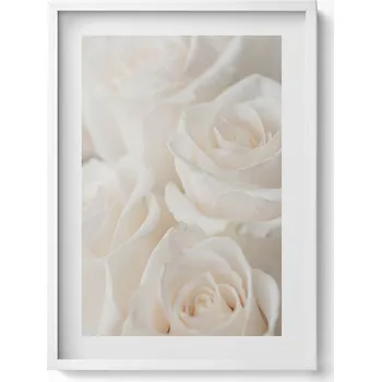 Obraz Nástěnný dekorativní obraz v rámu s grafikou Bílé jemné různé 50x70 cm