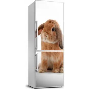 Fototapeta Samolepicí samolepící na ledničku na zeď Králík