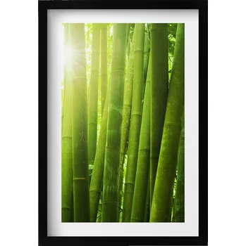 Obraz Dekorativní obraz v černém rámu do obýváku Zelené stonky bambusu 40x60 cm