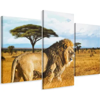 Obraz Obraz Triptych Divoká Kočka LEV Savana Krajina 90x60