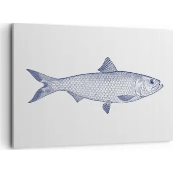 Obraz Velký obraz do obýváku XXL 120x80 ryba moderní fotoobraz na plátně obrazy