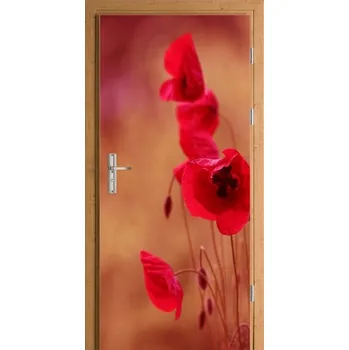 Fototapeta Samolepicí fólie na dveře POLNÍ VLČÍ MÁKY