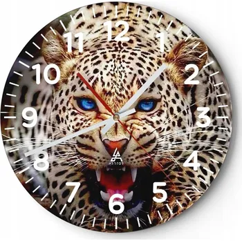 Hodiny Kuchyňské nástěnné hodiny 30x30 Zvířata Moderní skleněné hodiny Obývací pokoj Tiché