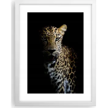 Obraz Obraz plakát v bílém rámu do obýváku 30x40 zvířata plakáty na zeď