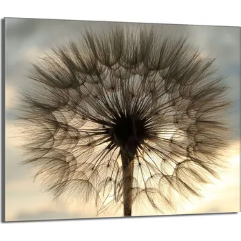 Kuchyňské prkénko Krájecí deska TMK ArtDeko sklo 1 ks