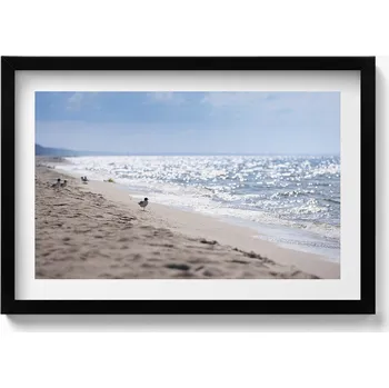 Obraz Dekorativní obraz v rámu do obýváku Mořské vlny a pták na pláži 60x40 cm