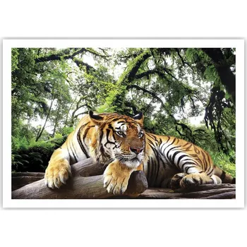 Obraz Plakát na zeď bez rámu 100x70 tygr obraz plakáty do obývacího pokoje ložnice
