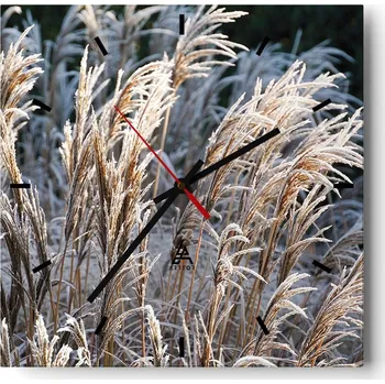 Hodiny Velké nástěnné hodiny na zeď 40x40 Trávy Umění Skleněné hodiny Tiché