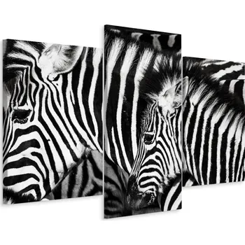 Obraz Obraz Triptych ZEBRA Zvířata Příroda 3D 90x60