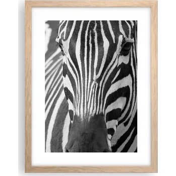 Obraz Obraz plakát v rámu světlý dub do obýváku 30x40 zvířata plakáty na zeď