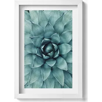 Obraz Ozdobný nástěnný obraz v rámu do obýváku Zelená rostlina sukulent 20x30 cm