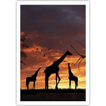 Obraz Plakát na zeď bez rámu 70x100 zvířata obraz plakáty do obývacího pokoje ložnice