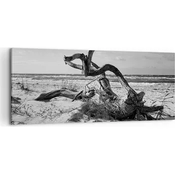 Obraz Foto obraz na plátně canvas 100x40 pláž obývák ložnice na zeď velký