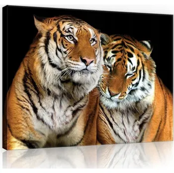 Obraz OBRAZ NA PLÁTNĚ CANVAS 60x40 TYGR KOČKA ZVÍŘE