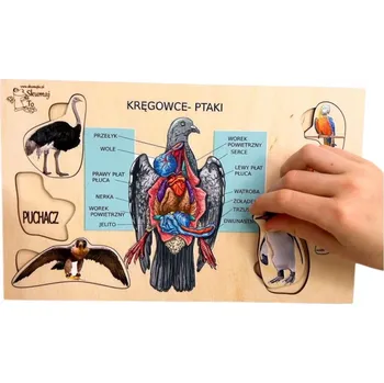 Dřevěná hračka Ptáci, dřevěná skládačka, zajímavosti o ptácích, biologická pomůcka