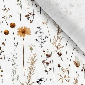 Úplet Takoy sušené květiny Lva