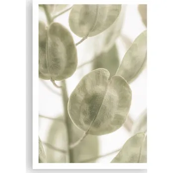 Obraz Plakát na zeď bez rámu 70x100 květiny obraz plakáty do obývacího pokoje ložnice