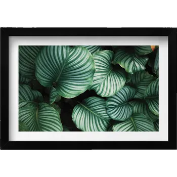 Obraz Elegantní obraz do obývacího pokoje v černém rámu Velké zelené listy 30x20 cm