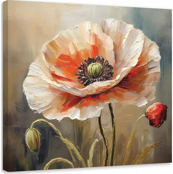 Obraz OBRAZ NA ZEĎ DO OBÝVÁKU MÁK KVĚT PŘÍRODA 40x40